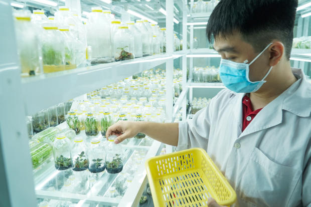 Viện Khoa học Ứng dụng HUTECH khởi động cuộc thi Nuôi cấy mô tế bào thực vật với 20 đội tranh tài 95
