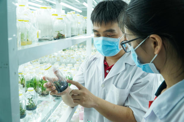 Viện Khoa học Ứng dụng HUTECH khởi động cuộc thi Nuôi cấy mô tế bào thực vật với 20 đội tranh tài 98