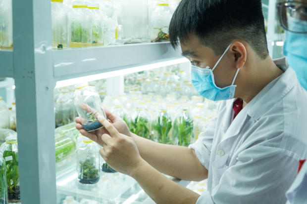 Viện Khoa học Ứng dụng HUTECH khởi động cuộc thi Nuôi cấy mô tế bào thực vật với 20 đội tranh tài 101