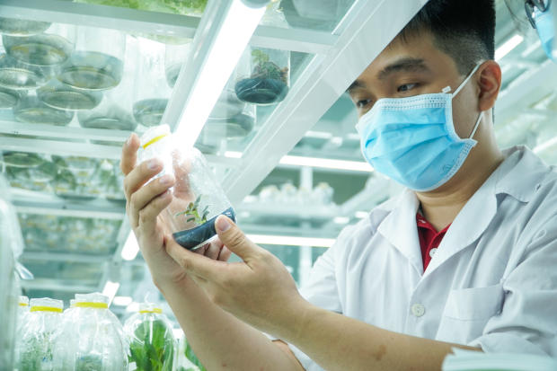 Viện Khoa học Ứng dụng HUTECH khởi động cuộc thi Nuôi cấy mô tế bào thực vật với 20 đội tranh tài 104