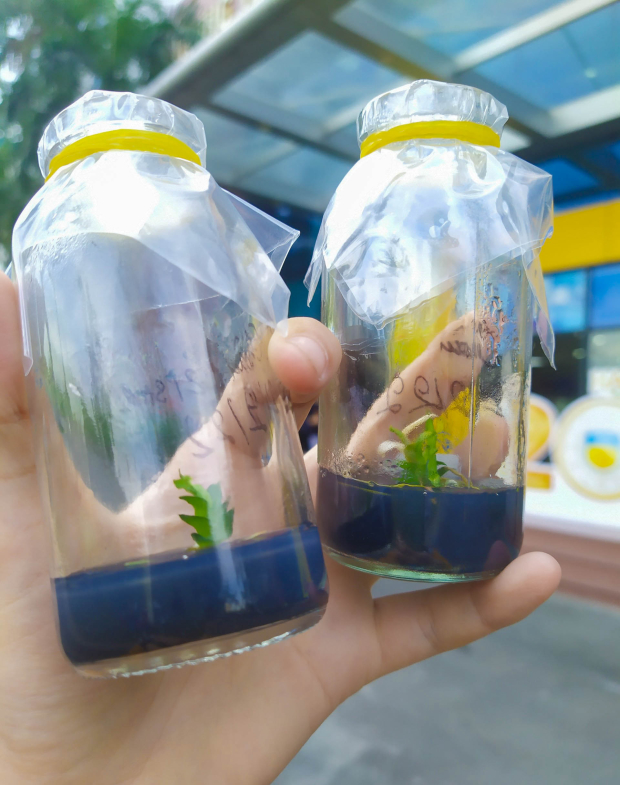 "Tân binh" Viện Khoa học Ứng dụng HUTECH khám phá Viện Công nghệ cao và Trung tâm Thực hành thí nghiệm 67