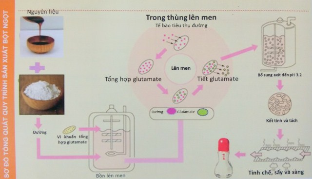 Cùng đón chờ Hội thảo khoa học "Vị Umami và Glutamate" 57
