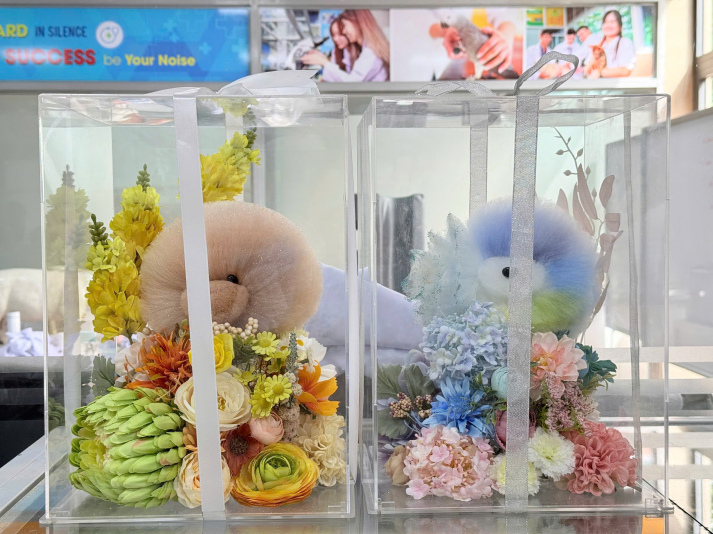 Sức hút của môn học “Chăm sóc và Thẩm mỹ thú cưng” – Bước đi mới tại Khoa Thú y  HUTECH 23