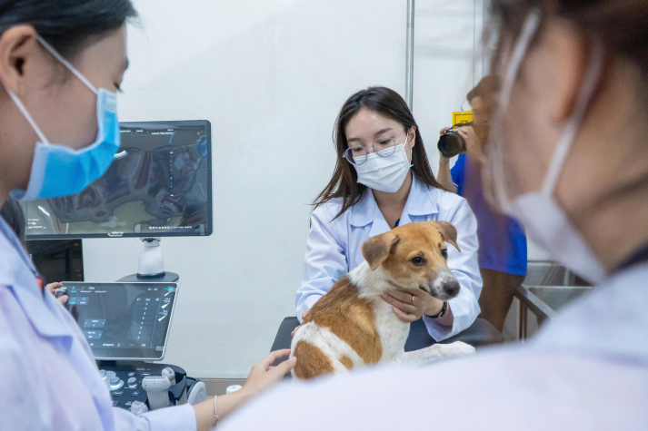 CHƯƠNG TRÌNH ĐÀO TẠO LIÊN NGÀNH THÚ Y CÔNG NGHỆ SỐ TẠI HUTECH – MÔ HÌNH ĐÀO TẠO BÁC SĨ THÚ Y ỨNG DỤNG TRÍ TUỆ NHÂN TẠO ĐẦU TIÊN TẠI VIỆT NAM 60