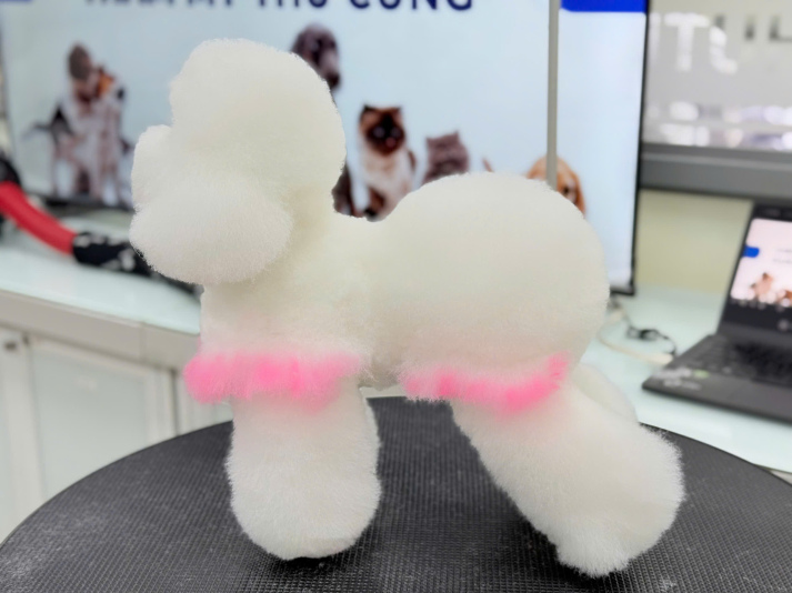 Sức hút của môn học “Chăm sóc và Thẩm mỹ thú cưng” – Bước đi mới tại Khoa Thú y  HUTECH 33