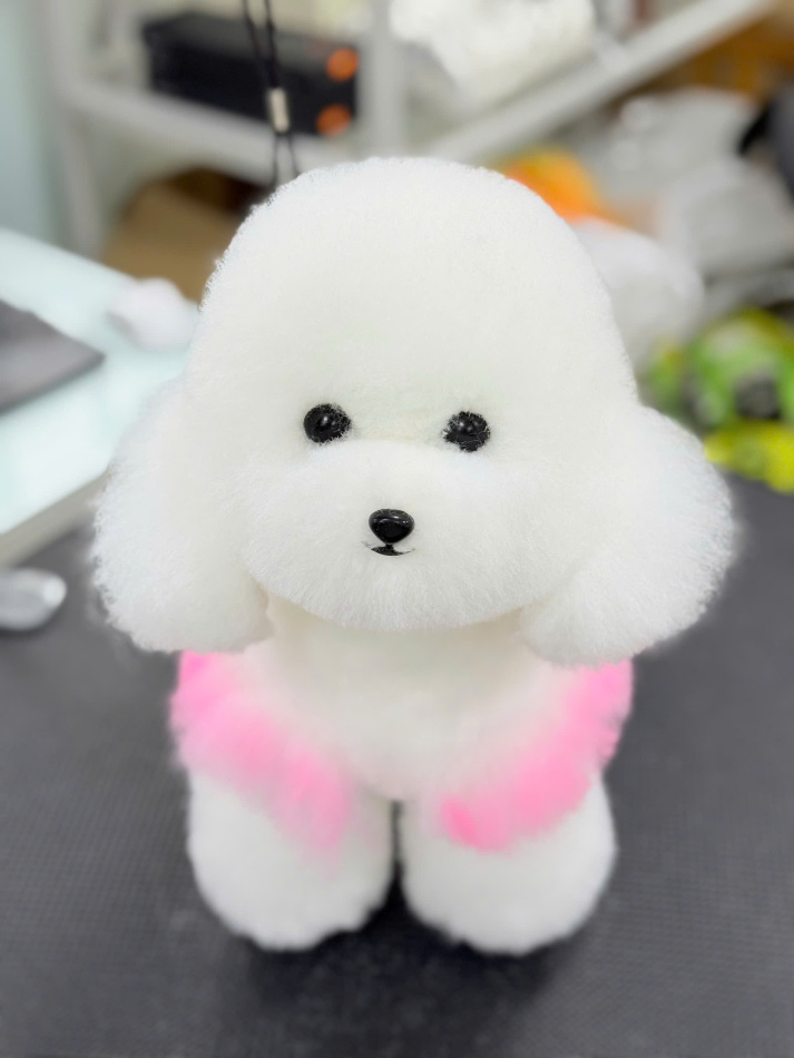 Sức hút của môn học “Chăm sóc và Thẩm mỹ thú cưng” – Bước đi mới tại Khoa Thú y  HUTECH 29