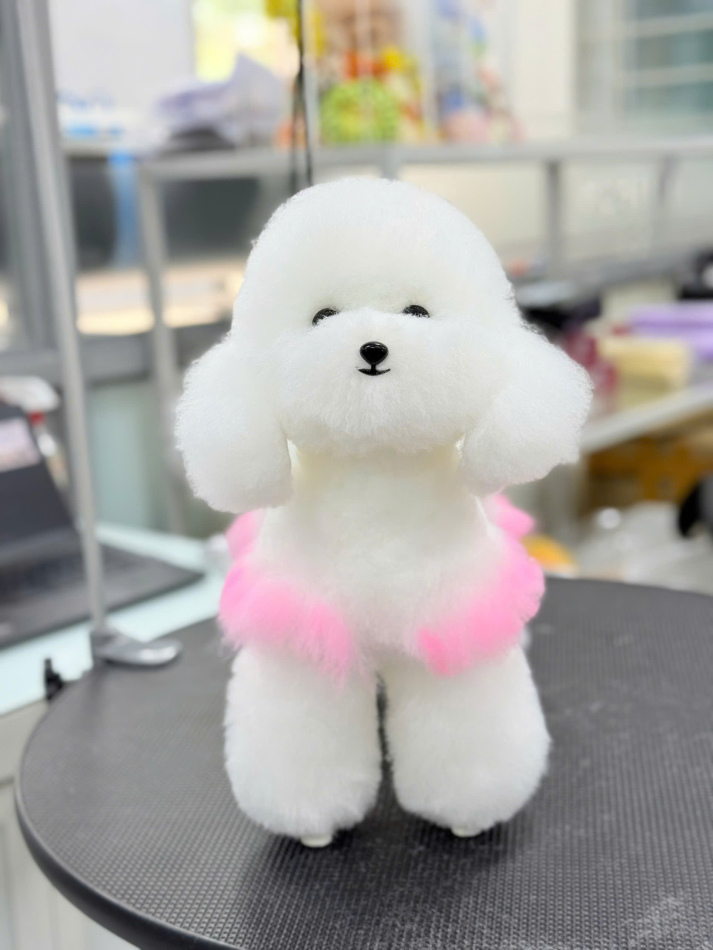 Sức hút của môn học “Chăm sóc và Thẩm mỹ thú cưng” – Bước đi mới tại Khoa Thú y  HUTECH 31