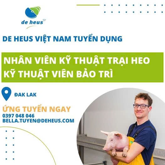 THÔNG TIN TUYỂN DỤNG THÁNG 10/2024 2