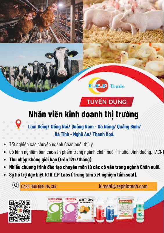 THÔNG TIN TUYỂN DỤNG THÁNG 10/2024 9