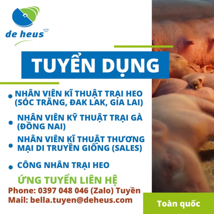 THÔNG TIN TUYỂN DỤNG THÁNG 10/2024 7