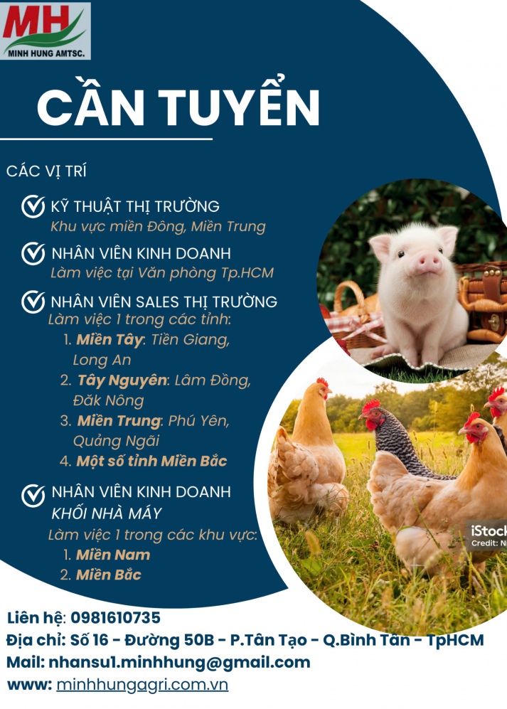 THÔNG TIN TUYỂN DỤNG THÁNG 10/2024 12