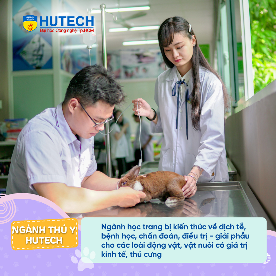 NHỮNG TRẢI NGHIỆM KHÁC BIỆT KHI HỌC NGÀNH THÚ Y TẠI HUTECH 66