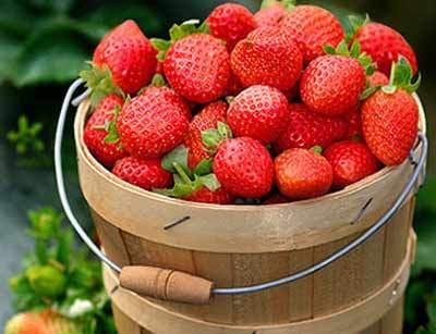 5 nhóm thực phẩm giúp da chống nắng 6