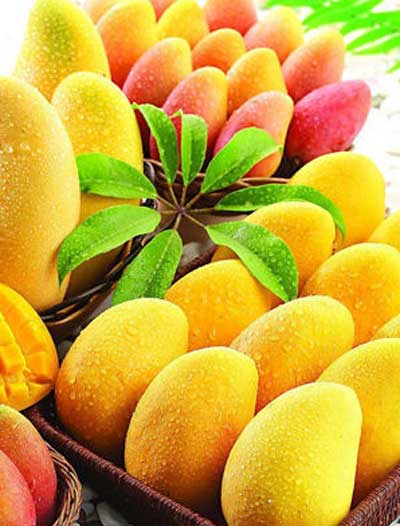 5 nhóm thực phẩm giúp da chống nắng 13