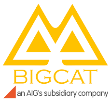 [Đơn vị đồng hành] -  Big Cat Production 12