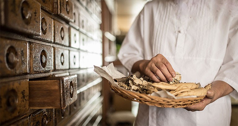 Có nên học ngành Y học cổ truyền 218