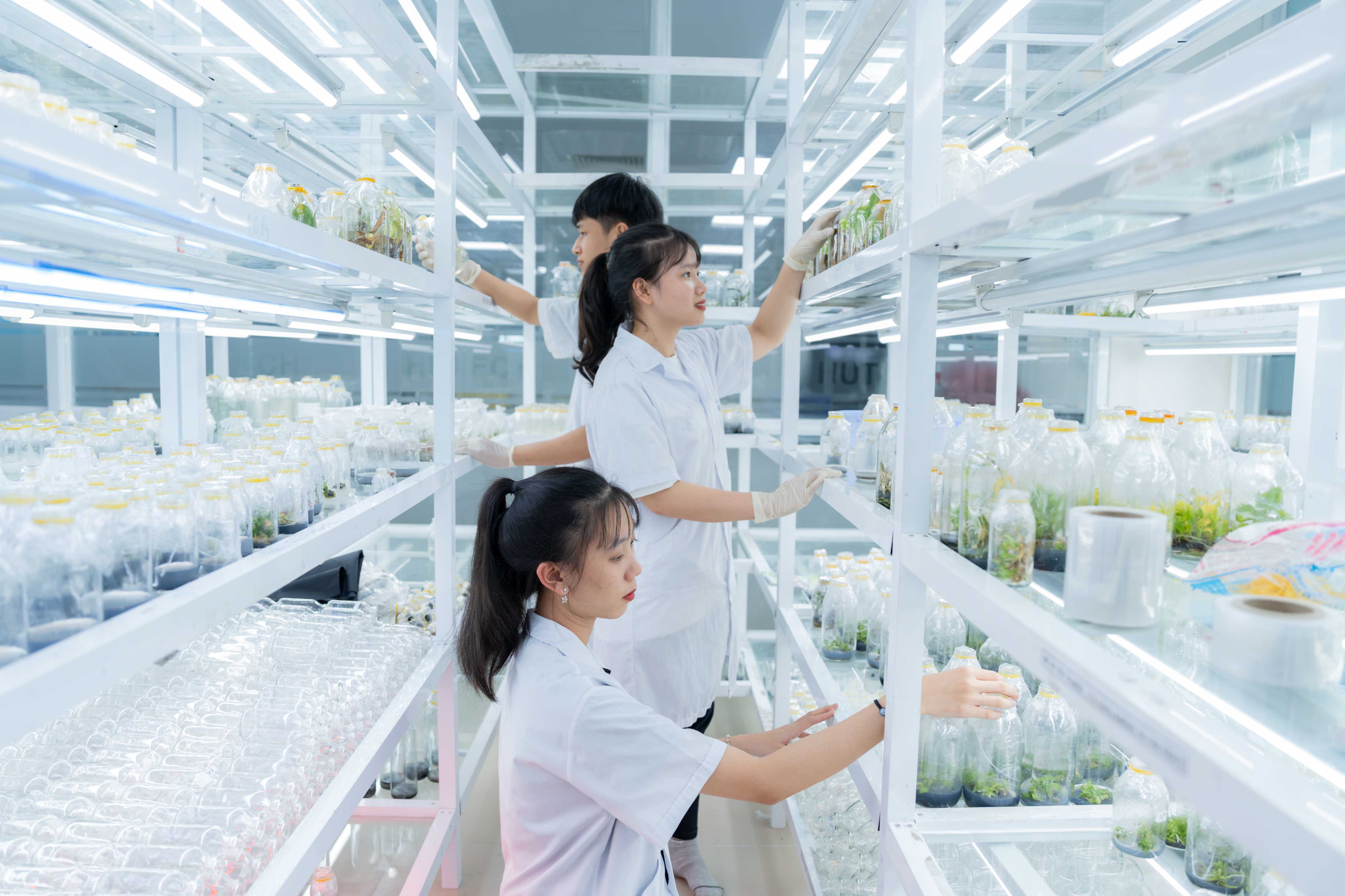 Để xét tuyển ngành Công nghệ sinh học cần học tốt môn nào? 36