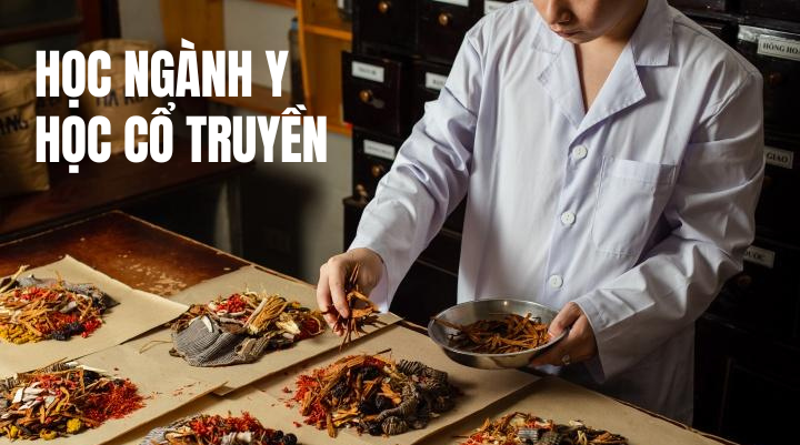 Có nên học ngành Y học cổ truyền 23