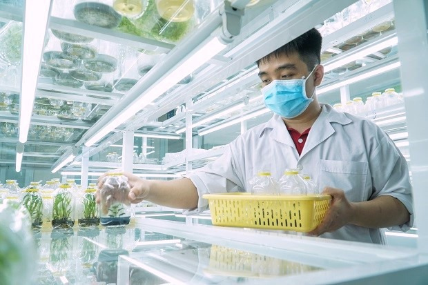 AI có thể thay thế ngành Công nghệ Sinh học hay không? 3