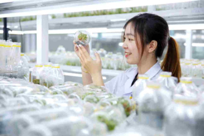 Tiềm năng phát triển của ngành Công nghệ Sinh học trong xã hội hiện đại
