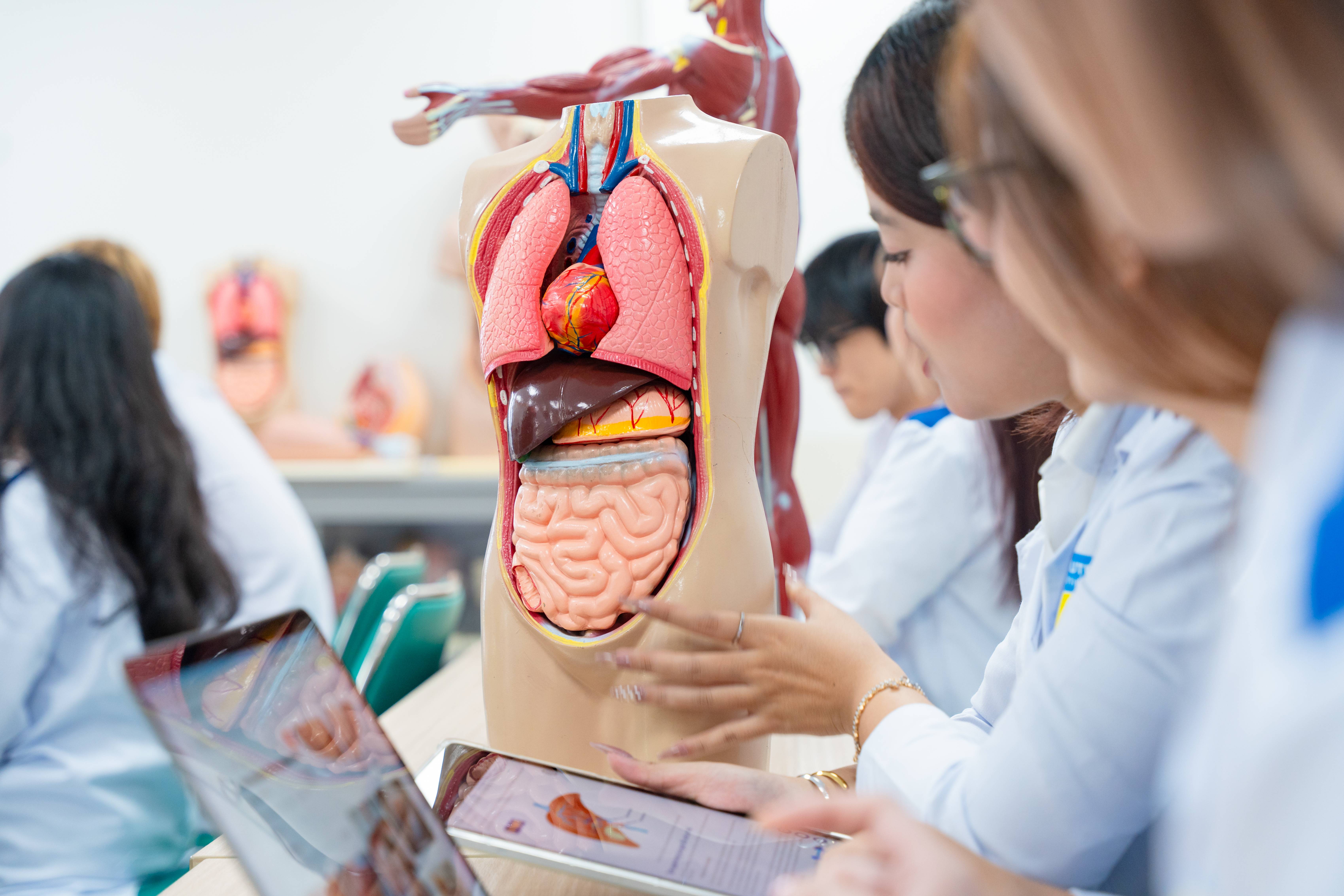 Học ngành Y khoa thực hành, thực tập ở đâu? 42