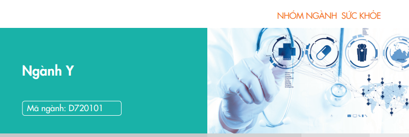 Ngành Y