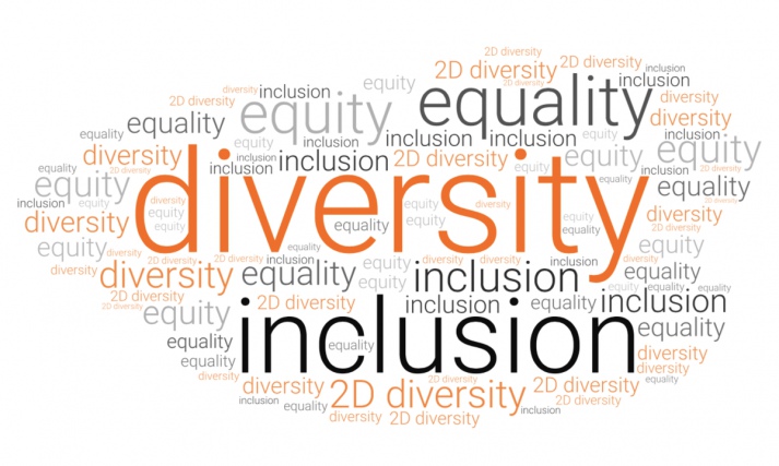 Chiến lược về Bình đẳng, Đa dạng và Bao trùm  (Equality, Diversity, and Inclusion) 6