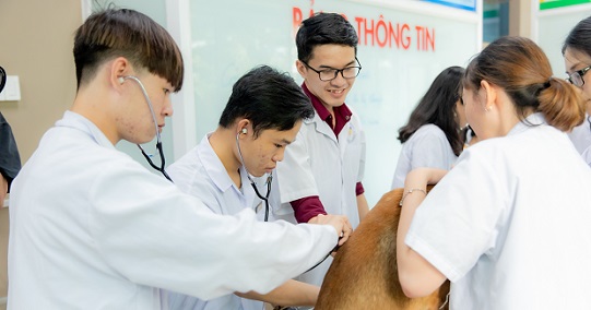 Viện Khoa học Ứng dụng HUTECH tổ chức các khóa tập huấn chuyên ngành cho bác sĩ Thú y và sinh viên