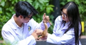 Học gì để trở thành Bác sĩ thú y?