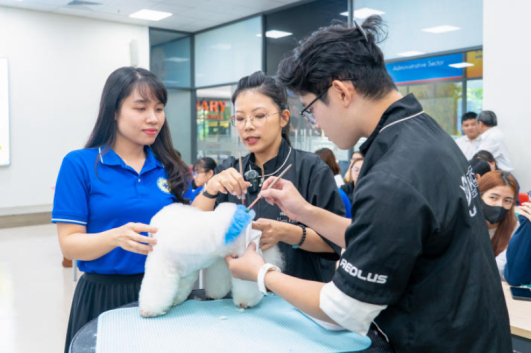 [Video] Sinh viên Thú y HUTECH mở rộng cơ hội nghề nghiệp qua lĩnh vực Grooming hiện đại